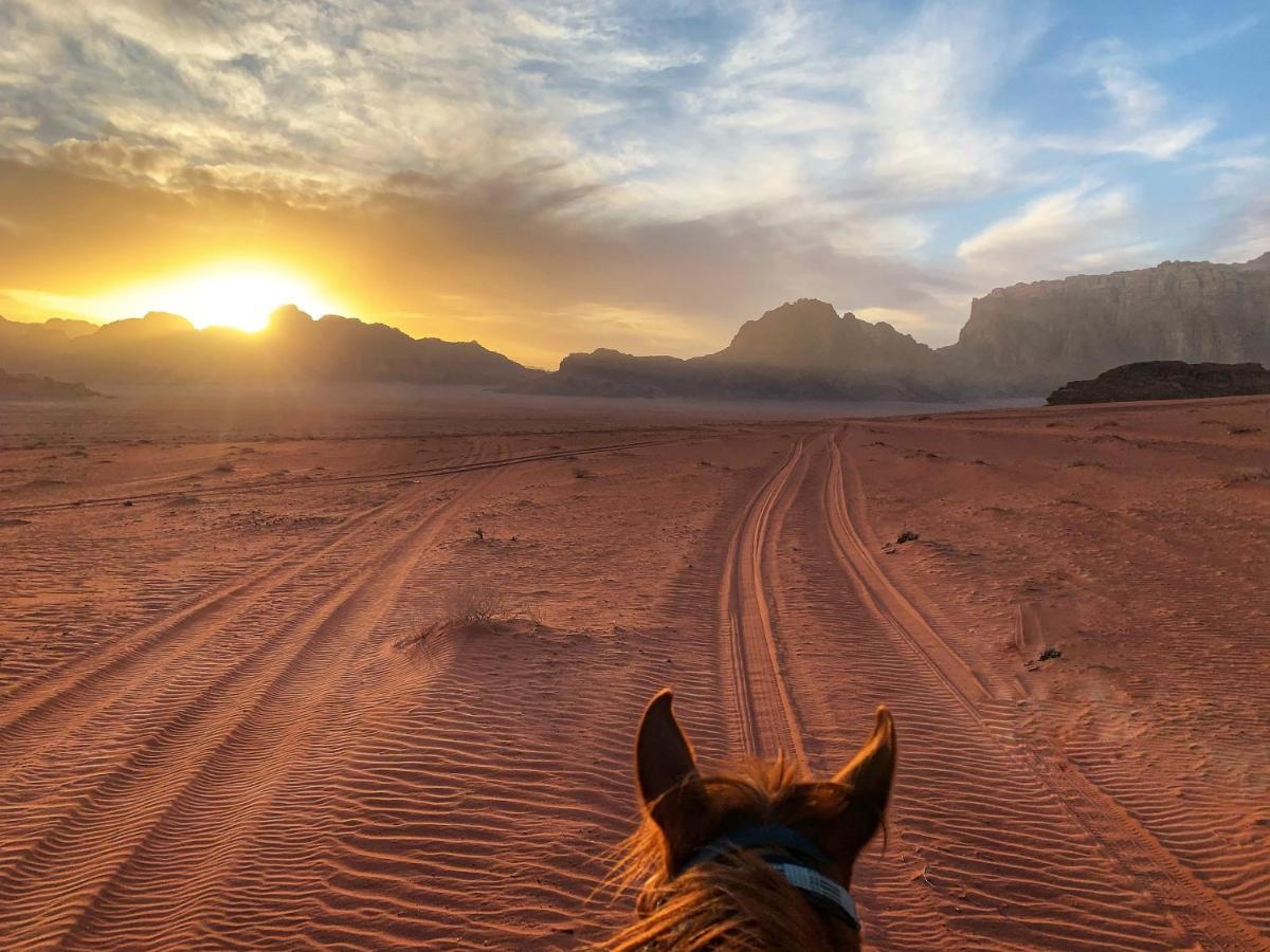 Wadi Rum Bedouin Tour With A Camp Dış mekan fotoğraf