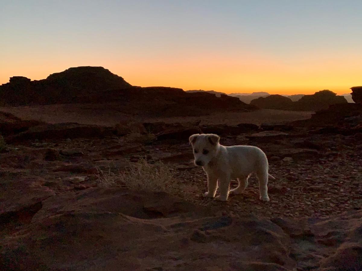 Wadi Rum Bedouin Tour With A Camp Dış mekan fotoğraf