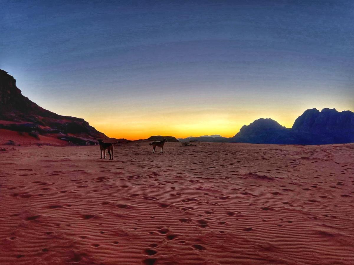 Wadi Rum Bedouin Tour With A Camp Dış mekan fotoğraf