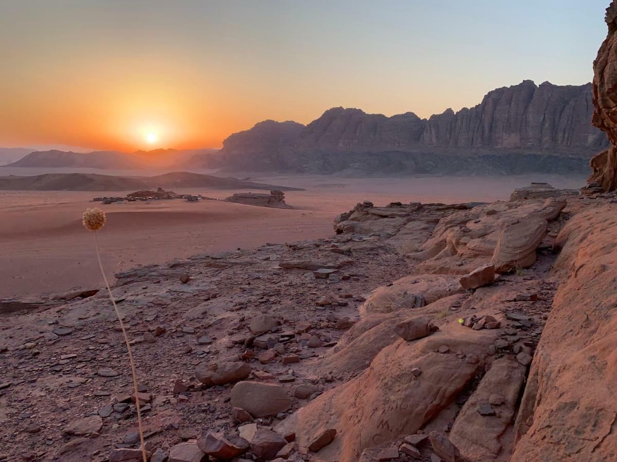 Wadi Rum Bedouin Tour With A Camp Dış mekan fotoğraf